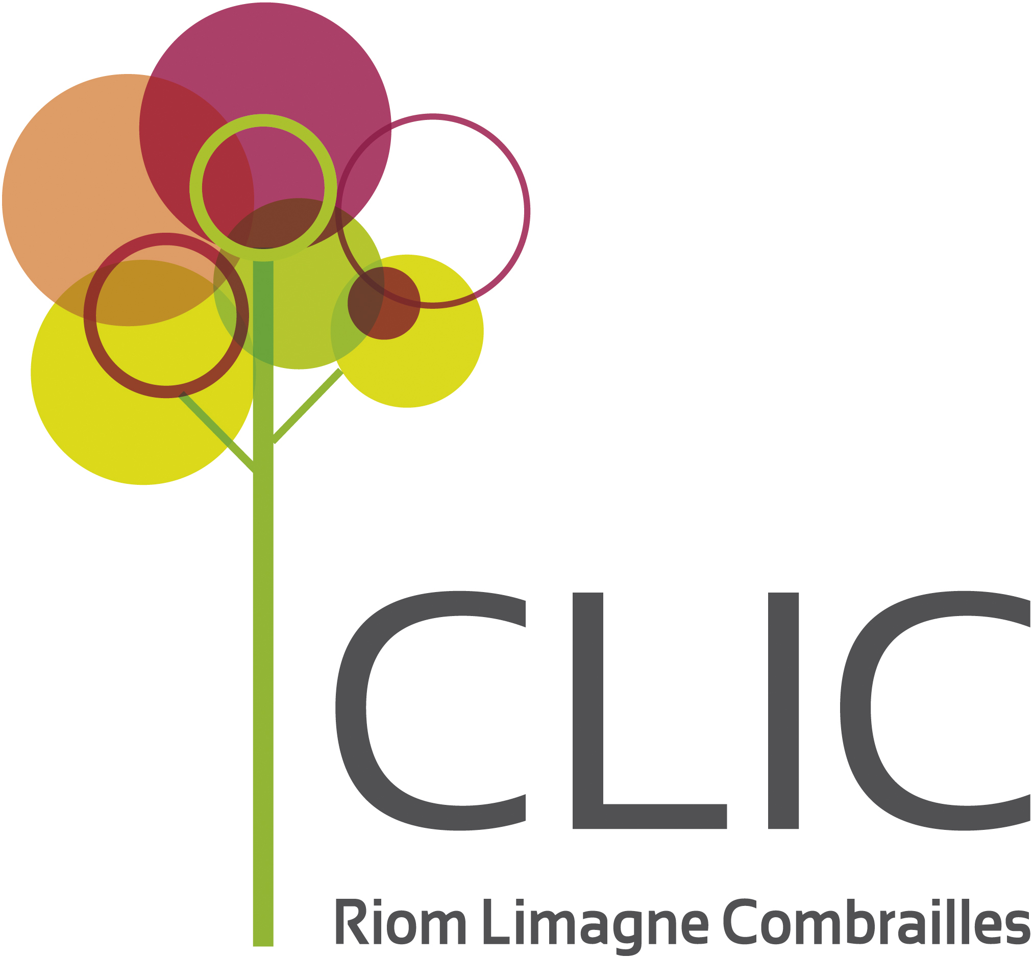 CLIC de Riom